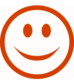 icon 1